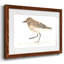 " Pretty Piper IV "-1594294873-1594294875