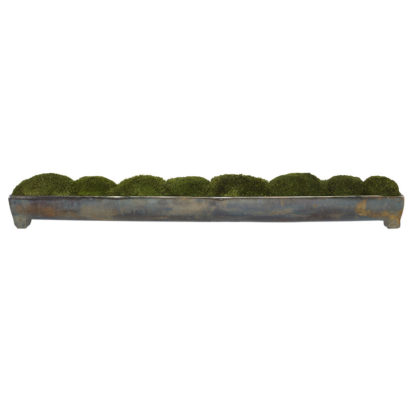 Moss Arrangement in Planter