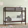 Harold Twin Over Twin Bunk Bed with Shelf