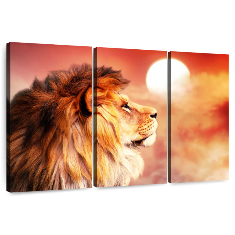 Lion ronce surplombant le coucher du soleil, H 48 po x l 74 po