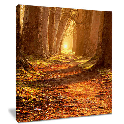 «Magic Morning at the Fall Park», reproduction de photo sur toile tendue