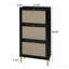Range-chaussures 3 portes en rotin, moderne - standard