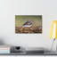 Wall Art on Canvas-1111227147