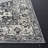 Alby Performance Oriental Rug-886984178
