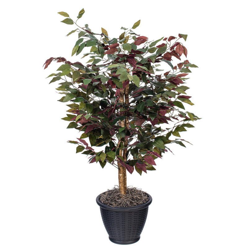 Arbre en pot artificiel de luxe Capensia, gris