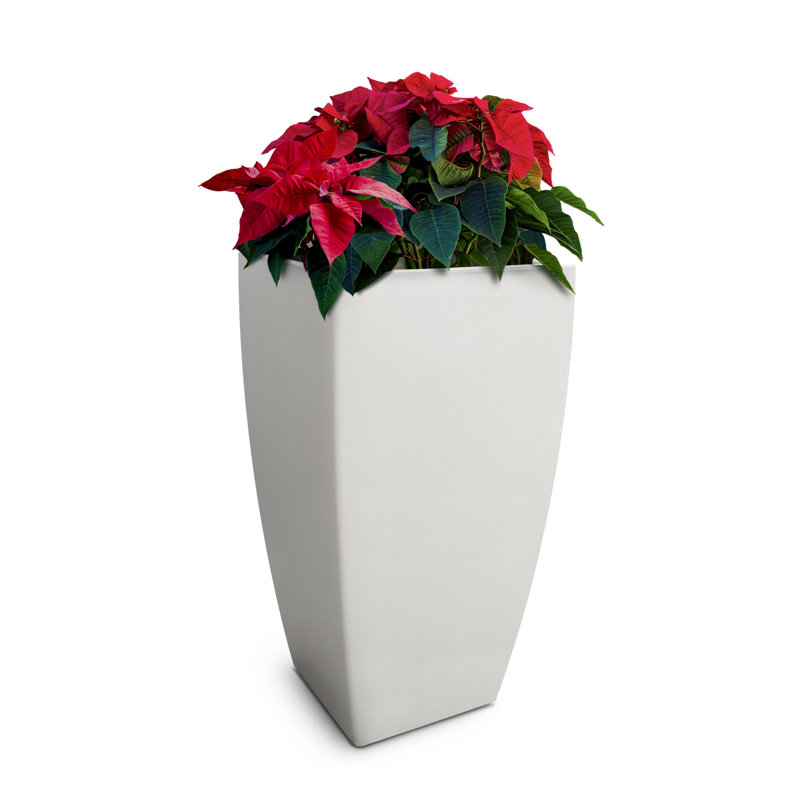 Mayne Kobi 32-Inch Self-Watering Tall Planter, White, 32" H x 17.5" W x 17.5" D