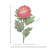 23" Beauty Aster Stem-174219993