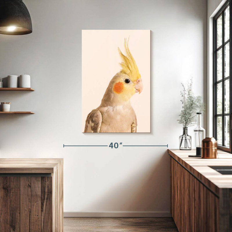 Brampt Smiling Cockatiel, 39" H x 26" W
