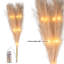 PVC Holiday Shaped Ornament-273499700