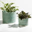 Ensemble de 2 pots à fleurs Weeda-78458147-78458146