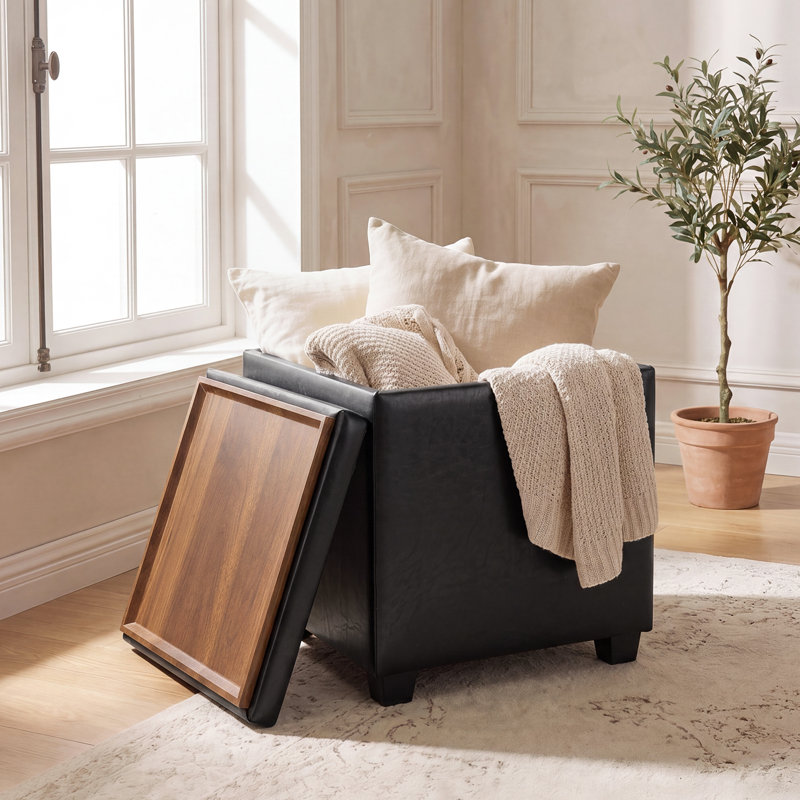 Banc de rangement avec repose-pieds 15,3 po, Noir