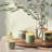 Hinoki Sage Boxed Glass Candle Refill-113853293