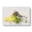 Holy Island Lindisfarne Watercolour - Wrapped Canvas-56661064
