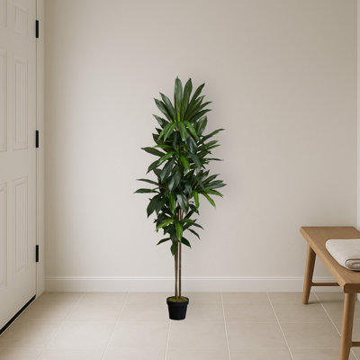 Dracaena Silk Plant with Planter