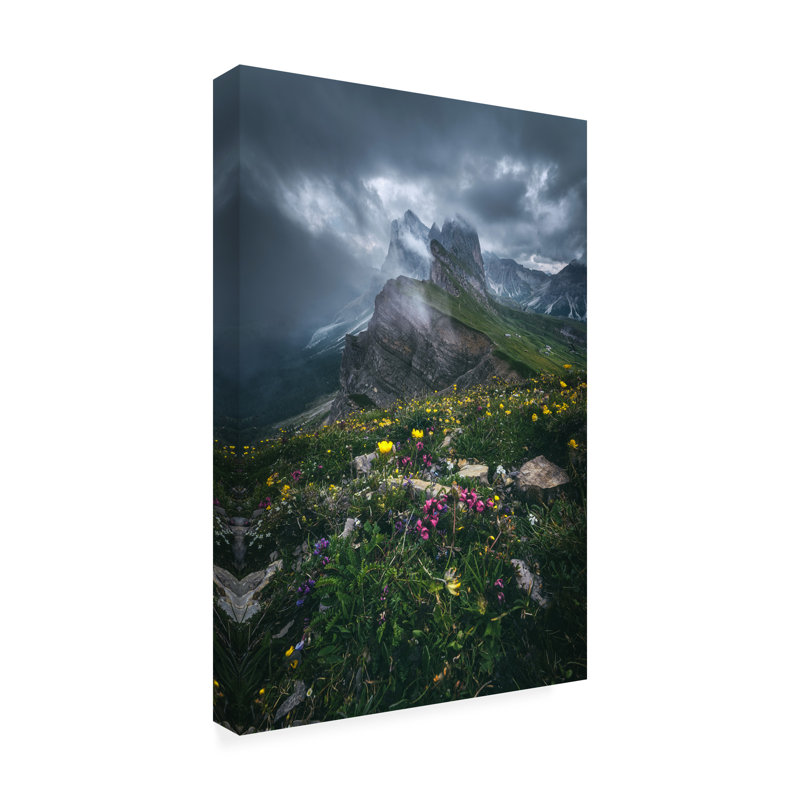 Dolomites Seceda 2500 par Jean Claude Castor - Photographie sur toile tendue, H 24 po x l 16 po x P 2 po