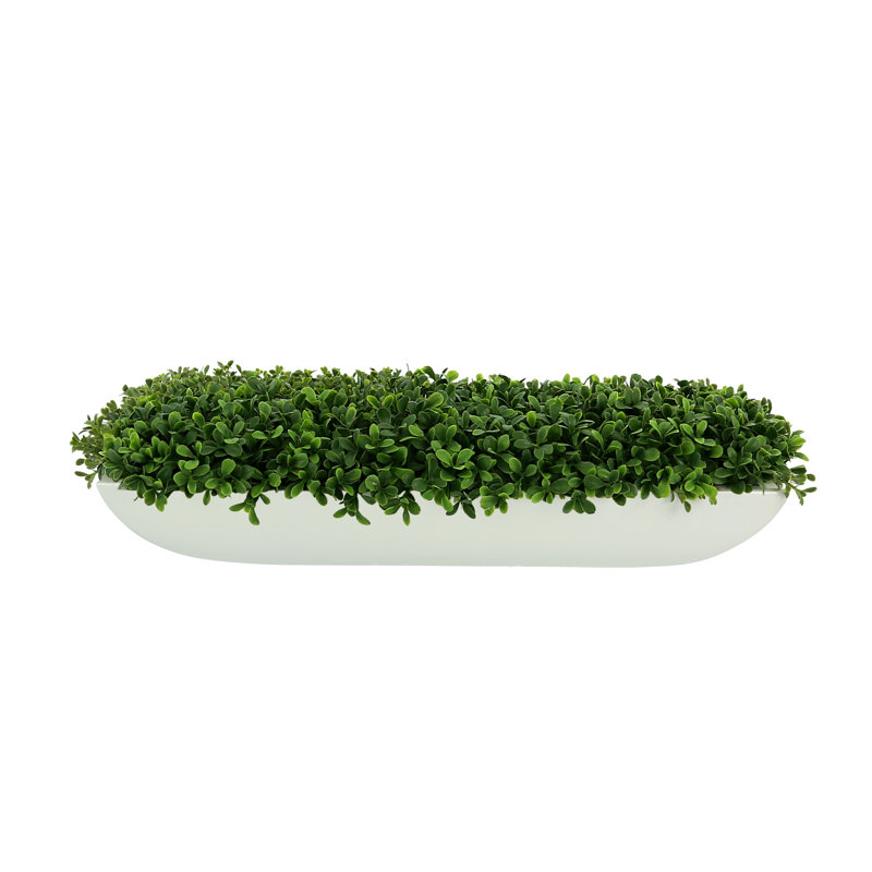 Pot à fleurs Geri, H 7 po x l 26 po x P 11 po, Blanc