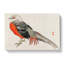Japanese Pheasant by Kono Bairei - Wrapped Canvas Print-55308209
