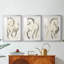 ANIMALS Series CCCCLX - Impression sur mesure encadrée de qualité supérieure - 3 pièces-55807915-55807919