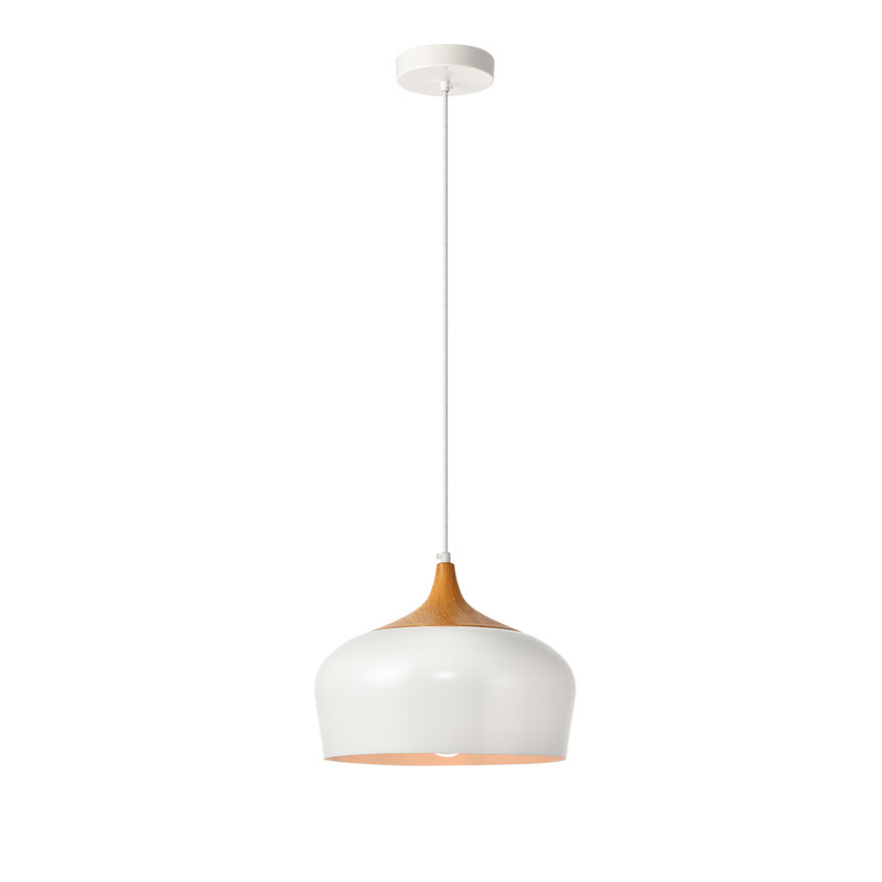 Reiner 1 - Light Single Pendant, White, Brown