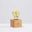 Lampe de table en bois 6,3 po