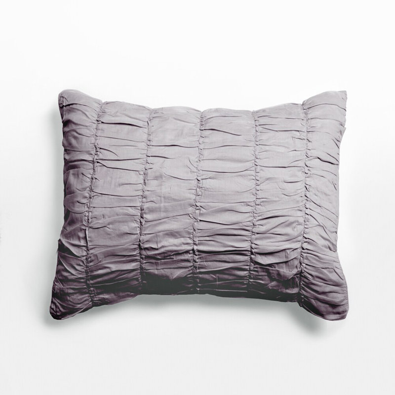 Rachel Gray Sham, Standard