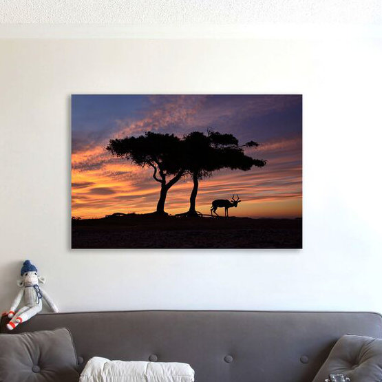 A New Dawn by Dominic Liam - Wrapped Canvas Print, 81cm H x 122cm W x 4cm D