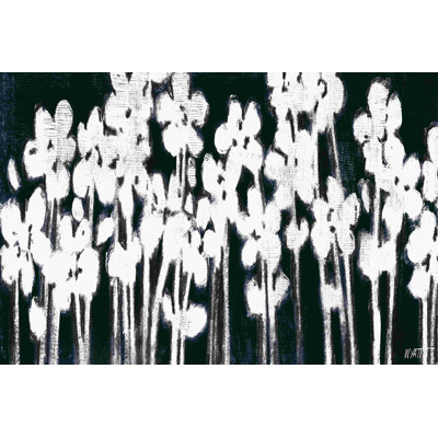 Fleurs blanches sur fond noir II