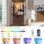 Armoire-penderie à porte en verre Farmhouse-1699448158-1806312291