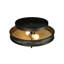Hoja 2 - Light Semi Flush Mount