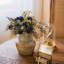 Dilatatum plante en faux linden-1499194275-1499194301