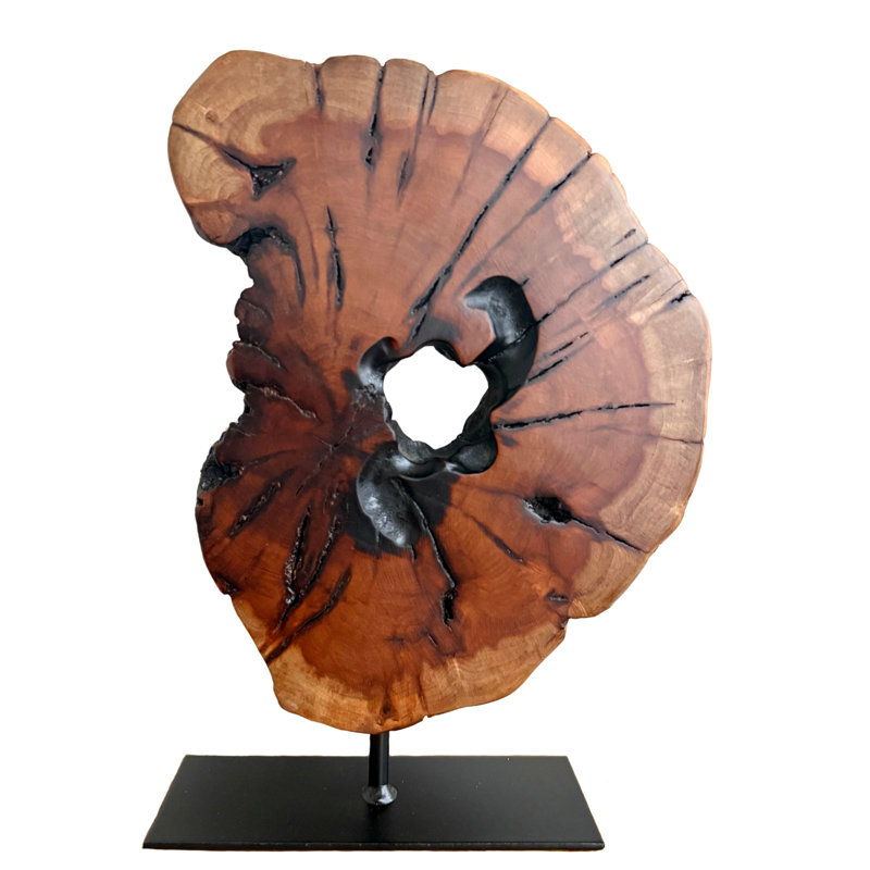 Sculpture irrégulière en bois sculpté à la main à partir de racines, sculpture sur pied de table abstraite pour la maison, décoration naturelle, bord de table, souche d'arbre - petit (l 7,75 po x H 11 po)