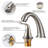2-handle Bathroom Faucet with Drain Assembly-56206189
