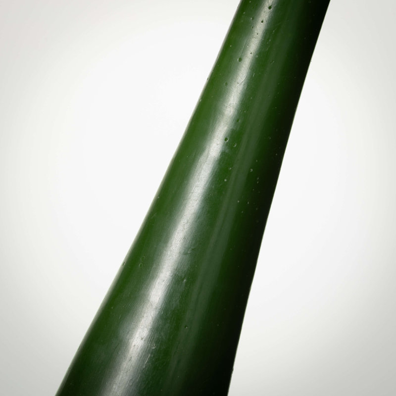 Élégante bougie de Noël Vance Kitira, Vert, L 14 po x l 4,25 po