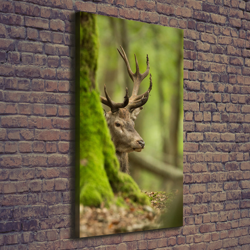 Deer - Wrapped Canvas Print