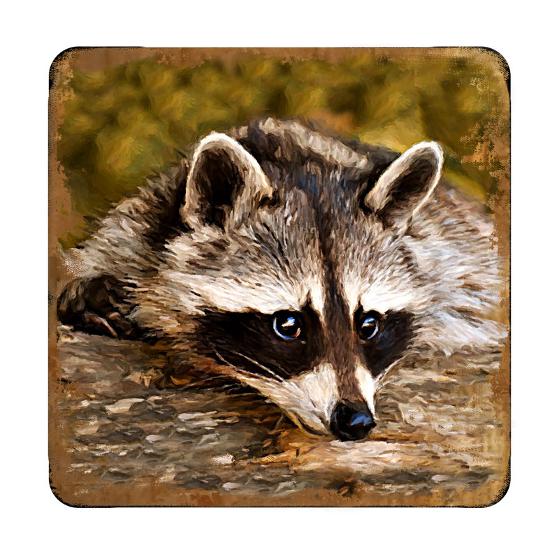 Sous-verre racoon
