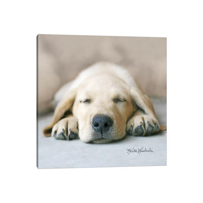 Dreaming of Kibble 1 Piece Wrapped Canvas Wall Art