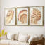 «Vintage Shell Vignette I», impression encadrée sur mesure de qualité supérieure mate - 3 pièces-2126711602-2126711606