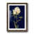 Papier, cadre noyer
