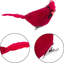 Paquet de 12 ornements d'oiseaux rouges