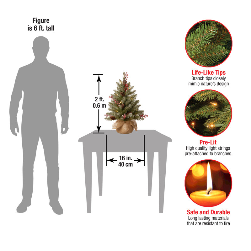 2ft. Dunhill Fir Tree with LED Lights