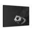 No Frame Print on Canvas