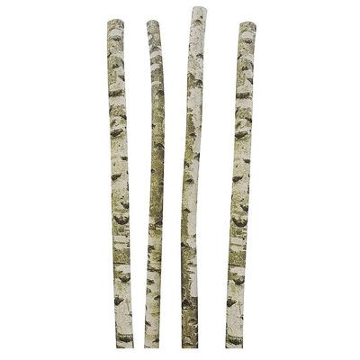 250cm Birch Trunk