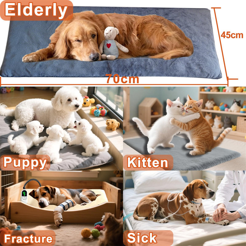 Pet Bed Cushion
