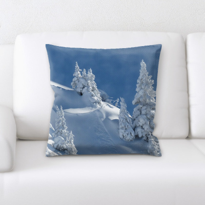 Coussin wintry