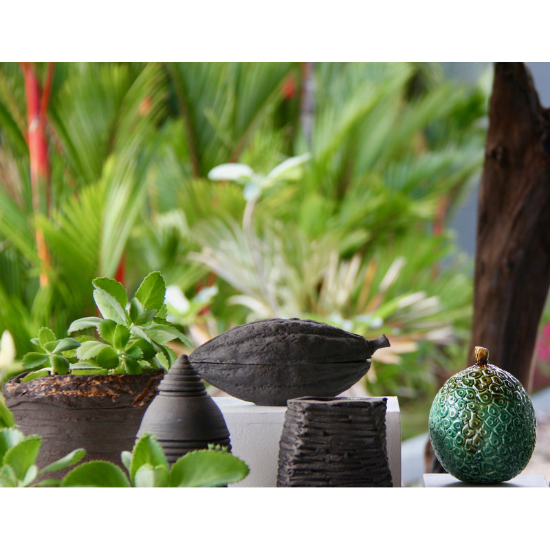 Bougie fantaisie Cacao Cabosse Bird of Paradise, Noir