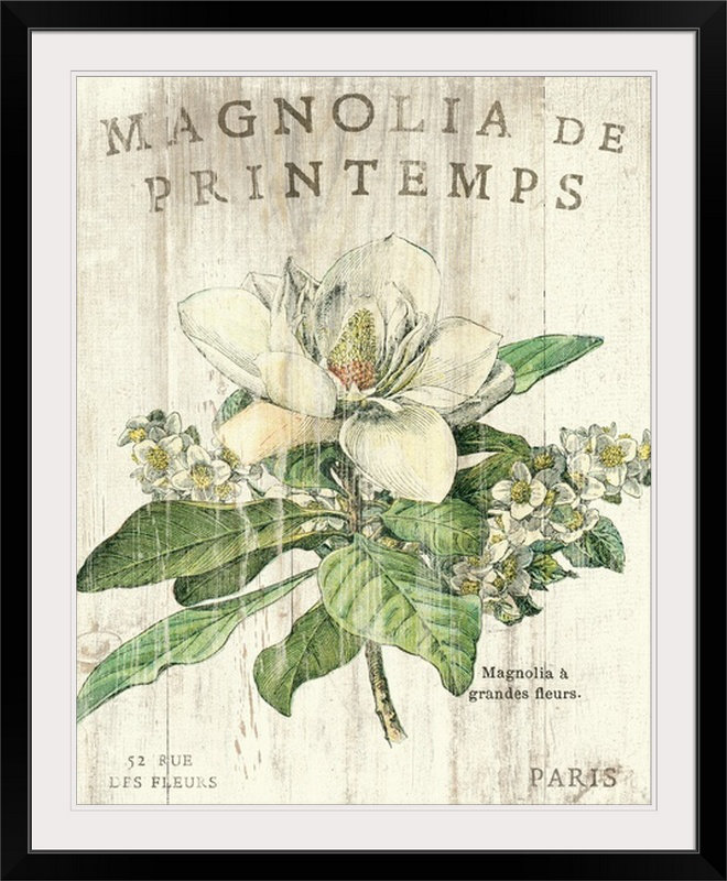 « magnolia de printemps » par sue schlabach, impression, Toile, H 14 po x l 11 po x P 1,25 po