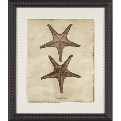 Sepia Sea Collection II Painting