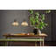 1 - Light Satin Nickel Pendant
