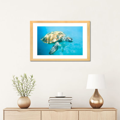 " Sea Turtle I " by Matteo Colombo