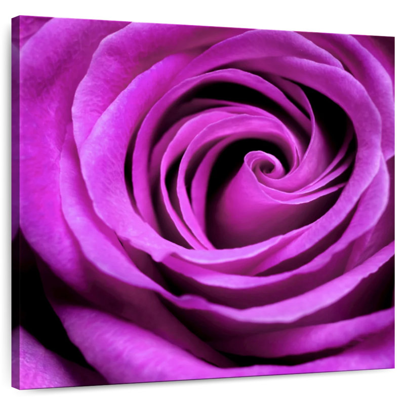 Harnek - rose mauve